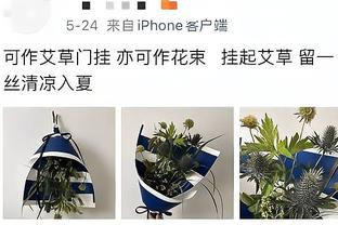 邮报：拉维亚在训练中脚踝受伤，正对伤势进行评估